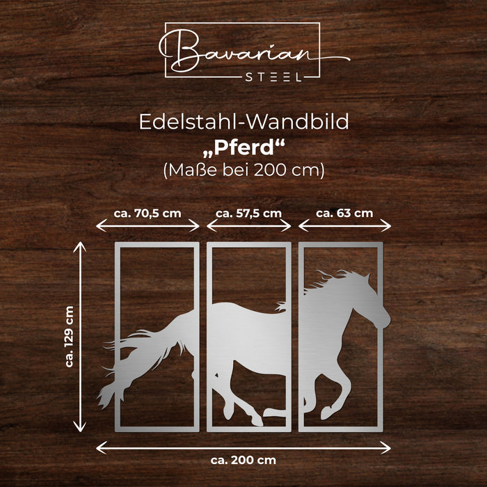 Edelstahl-Wandbild "Pferd"