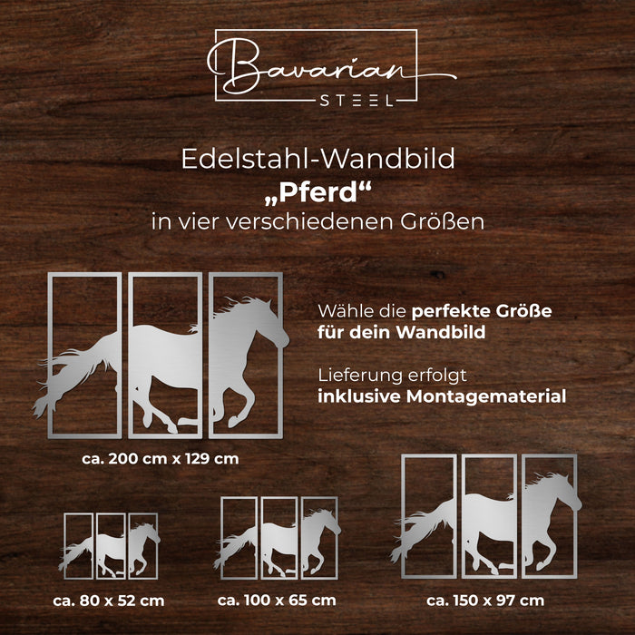 Edelstahl-Wandbild "Pferd"