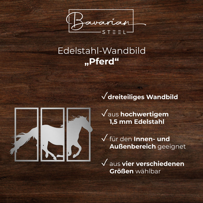 Edelstahl-Wandbild "Pferd"